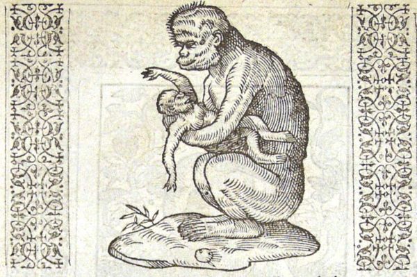 A monkey smothering its young