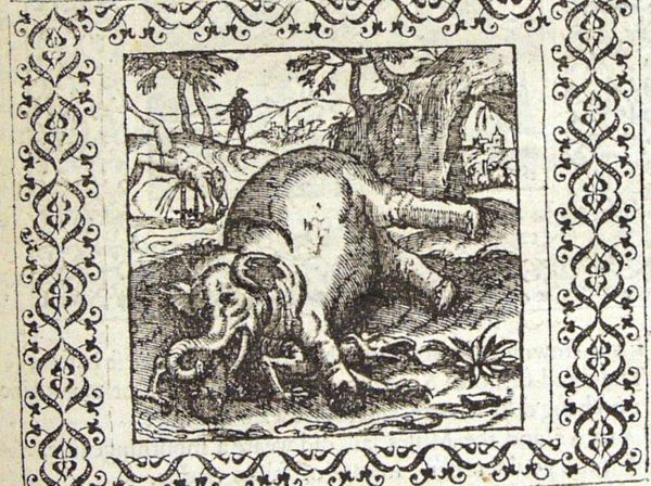 A dying elephant falls on the snake (dragon) that killed it