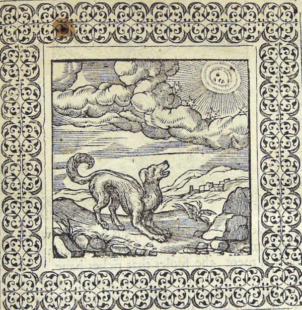 A dog barking at the moon