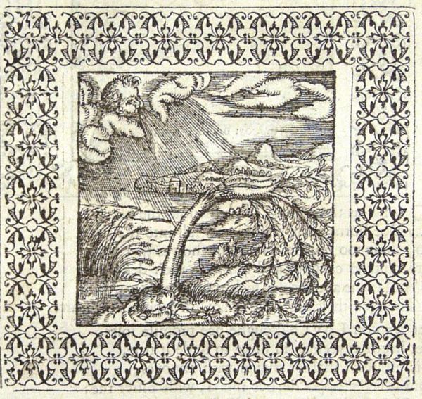 An ash is broken by a fierce northern wind but the reed bows and is spared
