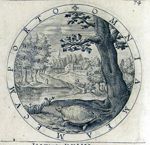 Emblem illustration for III iv 62