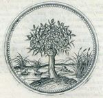 Emblem illustration for III ii 65