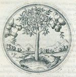 Emblem illustration for IV v 77