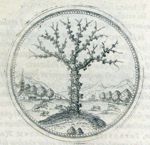 Emblem illustration for IV ix 89
