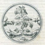 Emblem illustration for I ii 40