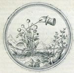 Emblem illustration for II iii 77