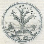 Emblem illustration for IV iii 2