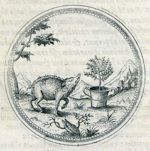 Emblem illustration for I iv 38