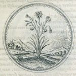 Emblem illustration for IV ii 87