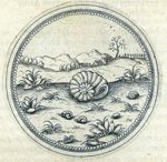 Emblem illustration for II x 50