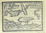 Emblem illustration for II vii 13