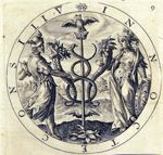 Emblem illustration for II ii 43