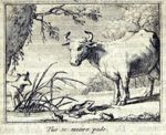 Emblem illustration for I vi 89