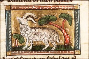 March: Aries