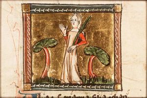 August: Virgo