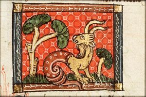 December: Capricorn