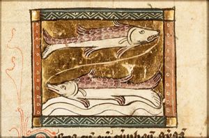 February: Pisces