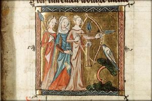 Amazons
