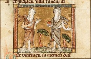 Race of women with beards