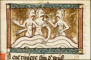 Race of women with dog's teeth
