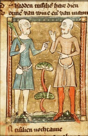 Cyclopes of Sicily