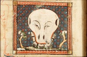 Skull of a Teuton