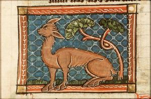 Cymera (kind of goat)