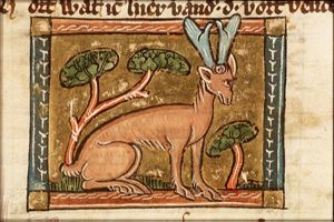 Damma (gazelle)