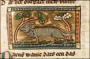 Daxus (badger)