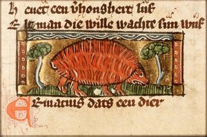 Erinacius (hedgehog)