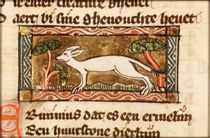 Eriminius (ermine)