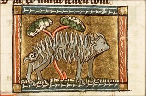 Istrix (pig)