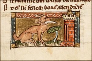 Linx (lynx)