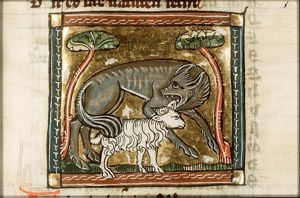Lupus (wolf)