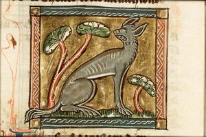 Lincisius (wolf)