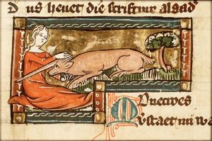 Monocheros (unicorn) caught by a virgin