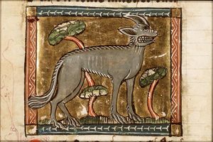 Molosus (dog)