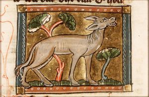 Onager (ass)