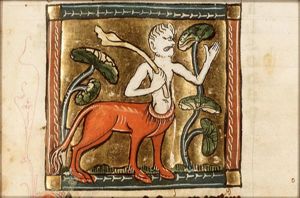 Onocentaurus (kind of centaur)
