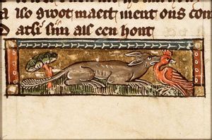 Putorius (polecat)