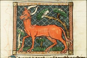 Taurus (bull)