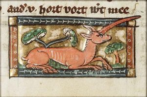 Unicornus (unicorn)