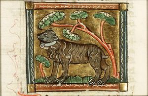Ursus (bear)