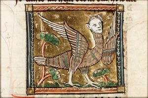 Arpia (harpy)