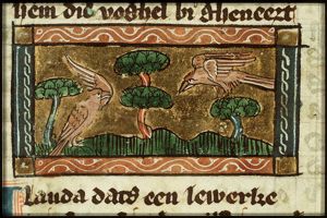 Alauda (lark)