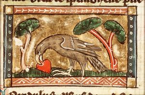 Coredulus