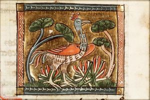 Fenix (phoenix)
