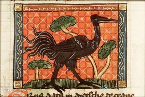 Grus (crane)