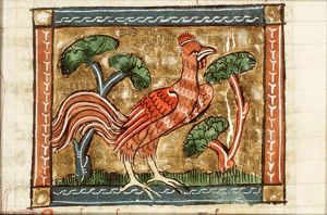 Gallinacius (kind of cockerel)