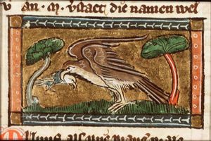 Milvus (harrier)